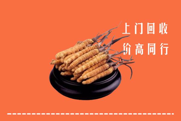 高价求购：镇江润州区回收散虫草