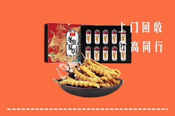 收购行情：镇江润州区回收虫草